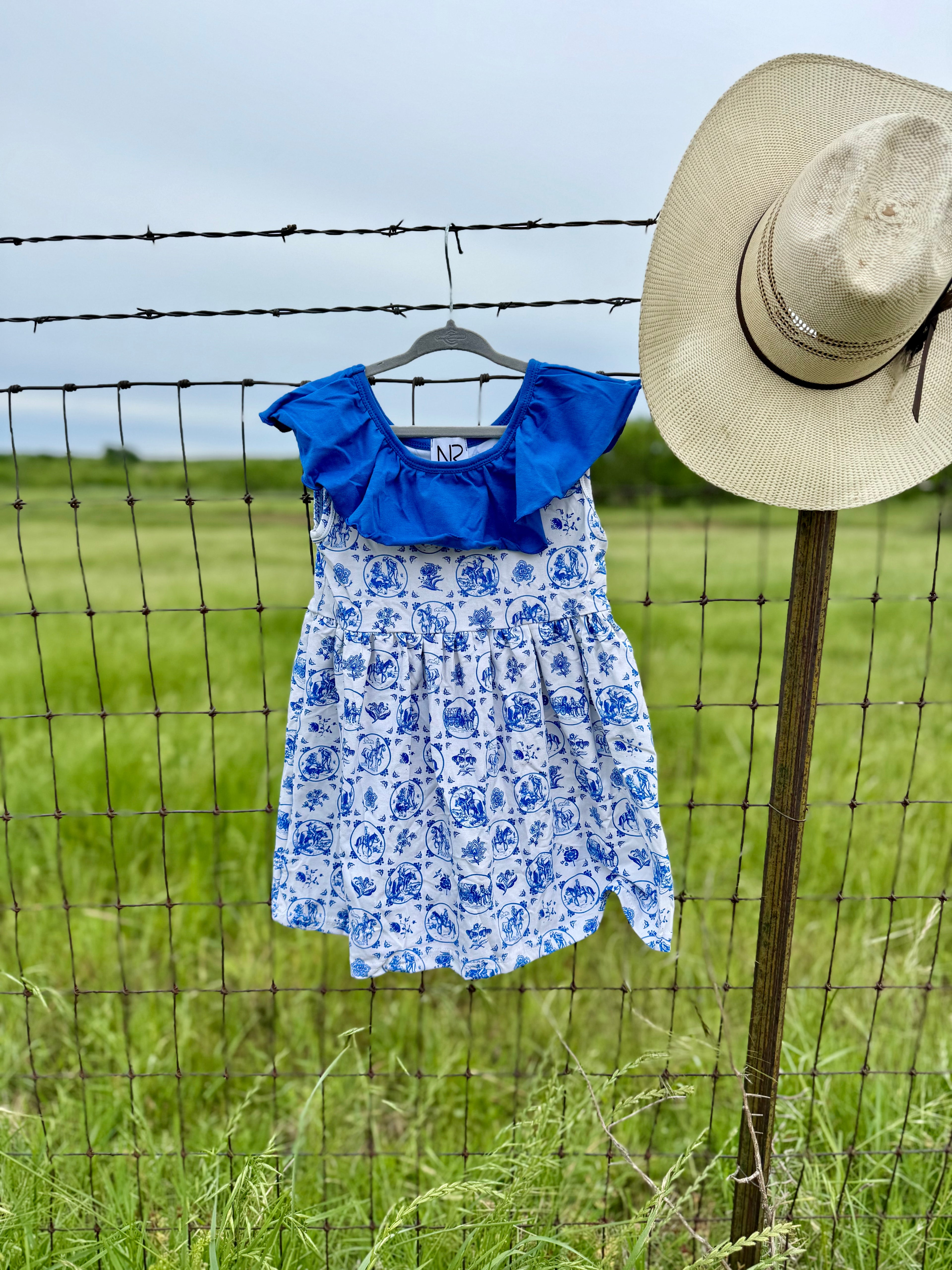 Trails & Toile Dress